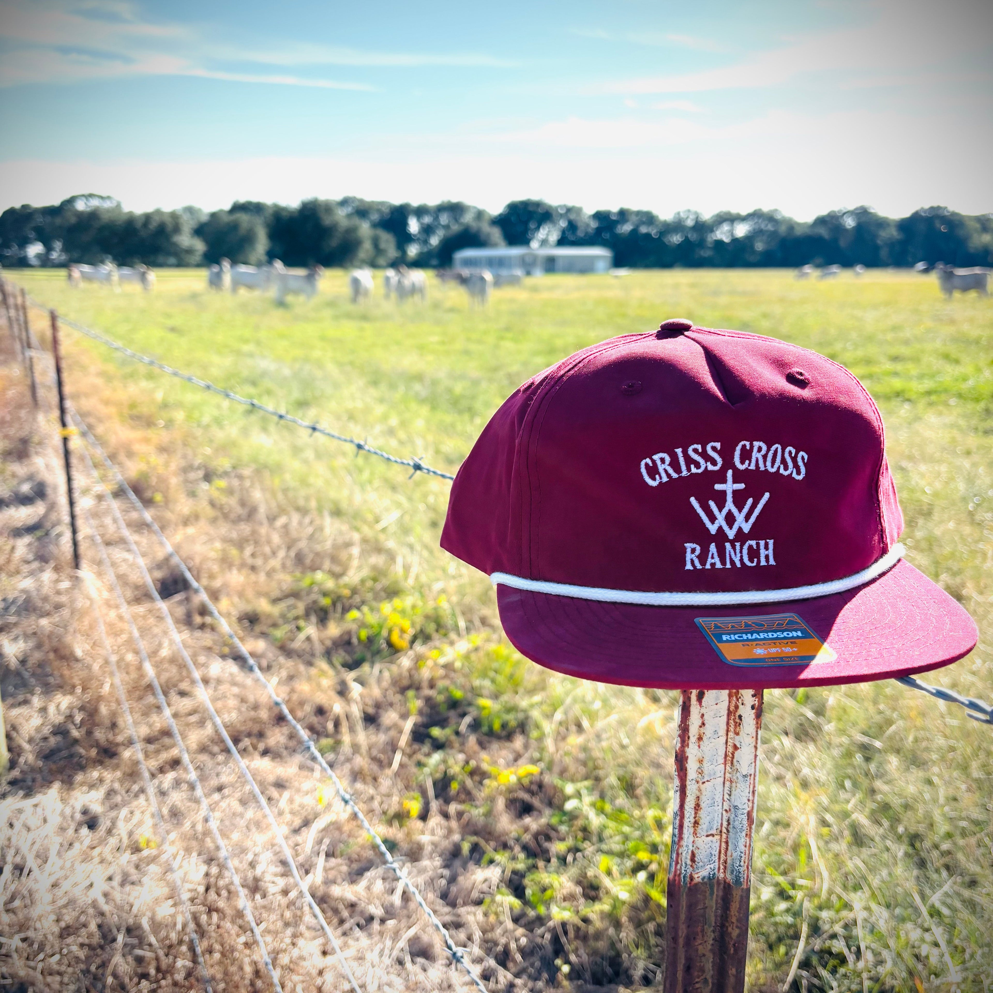 The Criss Cross Cardinal